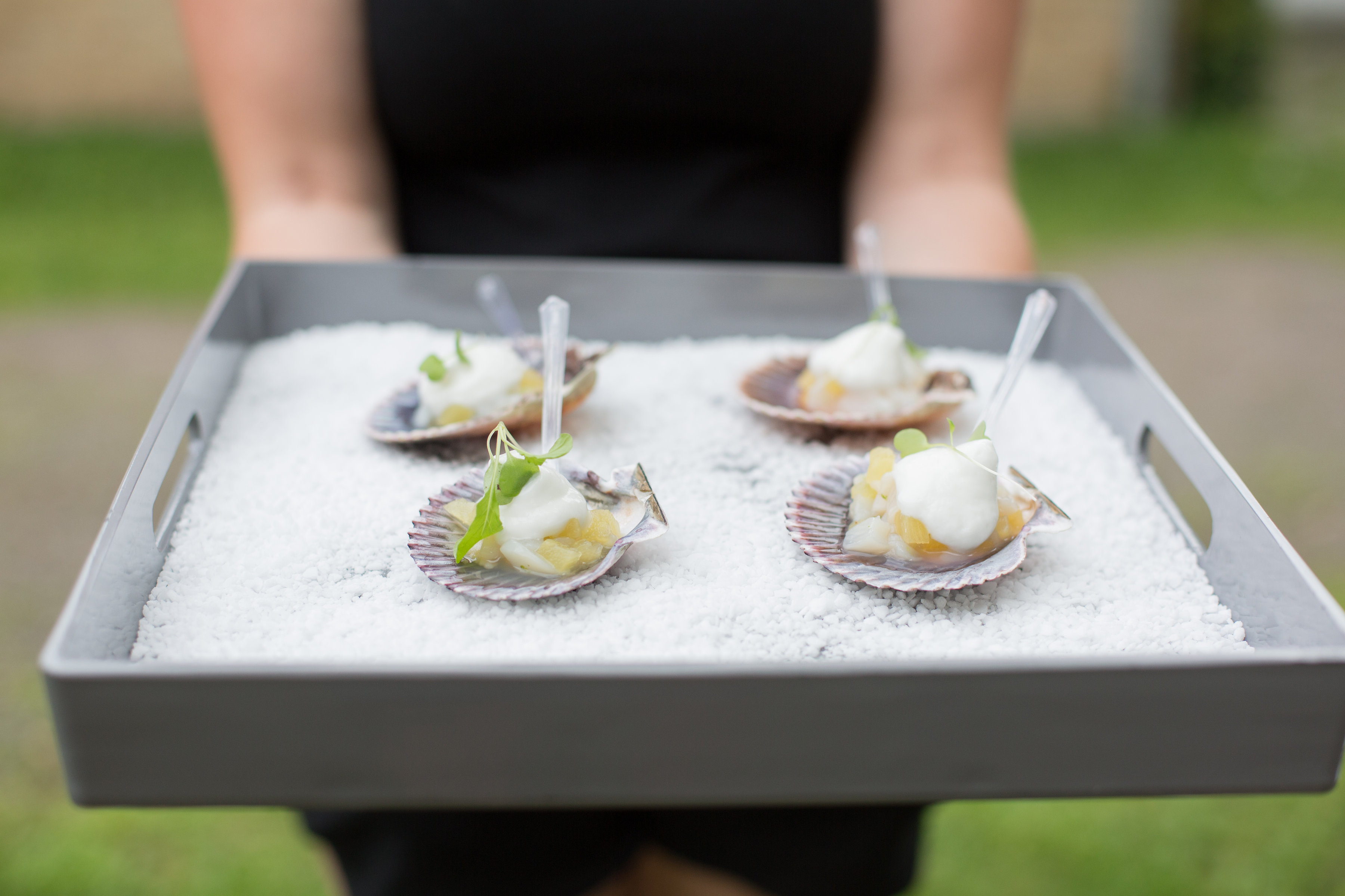 Ceviche pétoncle-Menu